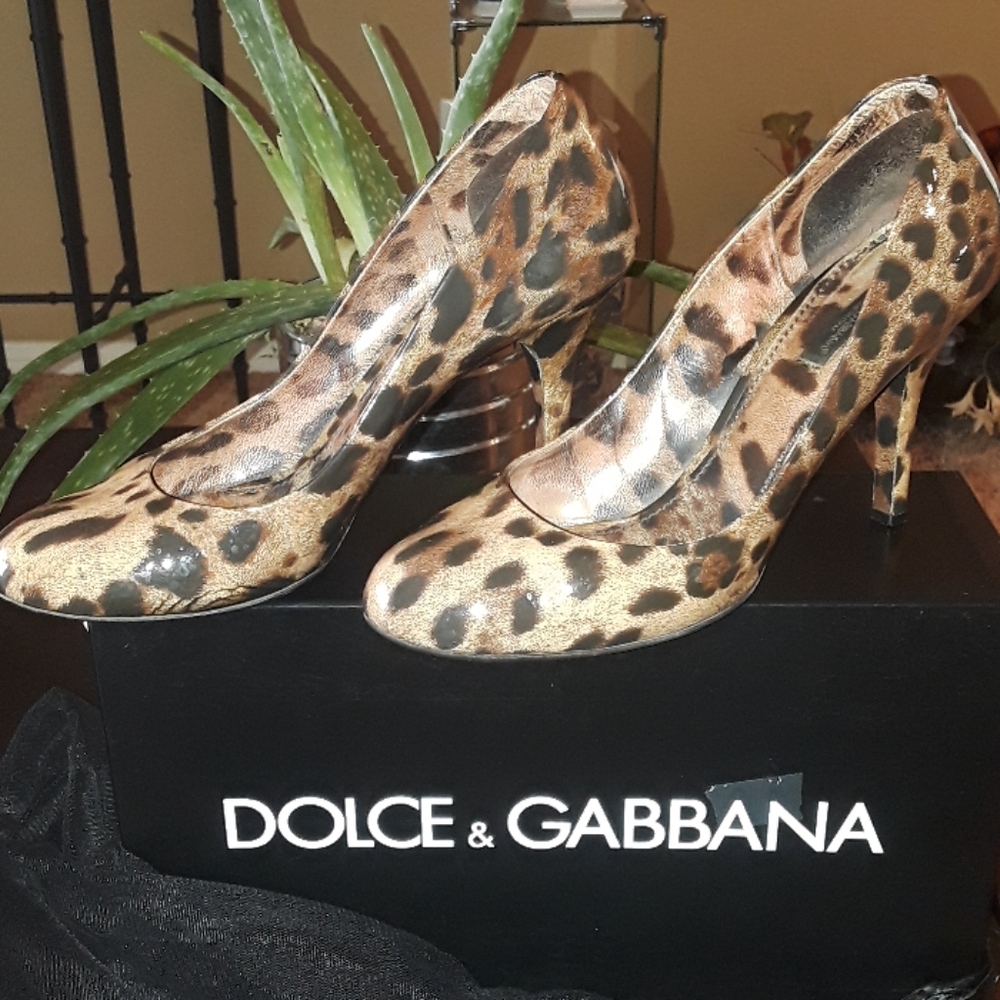 Dolce & Gabbana Woman's  @ Black Leopard